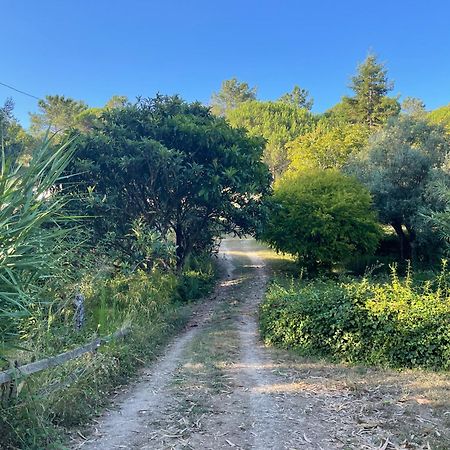 Nativo Natureza Pink Wood Cabin Cela  Esterno foto